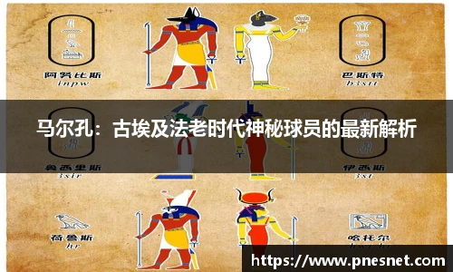 星空综合体育官网